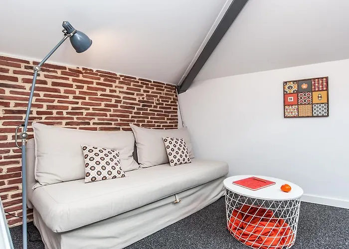 Pommes D'eve - Hypercentre - Clim - Dormiratoulouse *